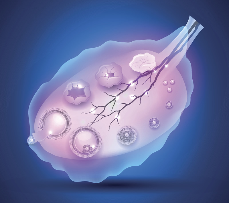 试管婴儿移植6个月流产怎么办？附原因及后续护理